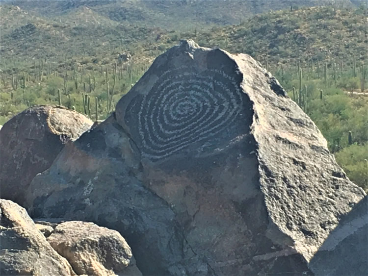 Saguaro National Park